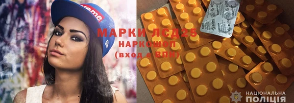 PSILOCYBIN Алзамай