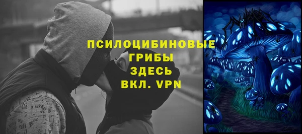 PSILOCYBIN Алзамай