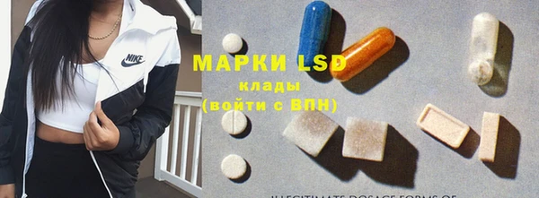 PSILOCYBIN Алзамай