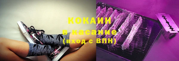 гашик Алексеевка