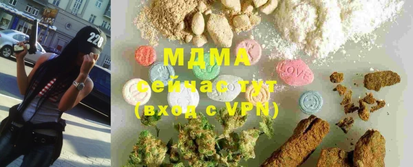 PSILOCYBIN Алзамай