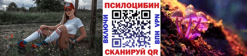 Галлюциногенные грибы ЛСД  Дмитриев 